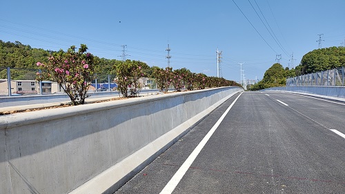 马鞍山高架桥通车6 - 副本.jpg