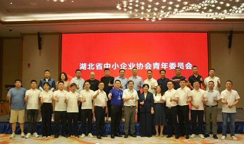 湖北省中小企业协会青年委员会0 - 副本.jpg